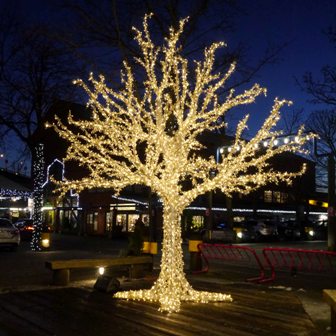 Lights on Granville Island